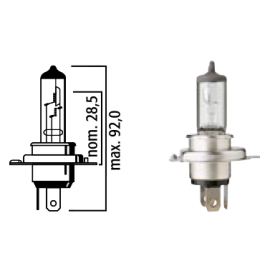 LAMPADA FLOSSER - 12 V 35/35 W PX43t HS1
