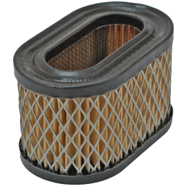 FILTRO DE AR - Briggs 5 HP Europa/Quantum Vertical