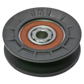 POLI DA CORREIA - AYP Tipo v